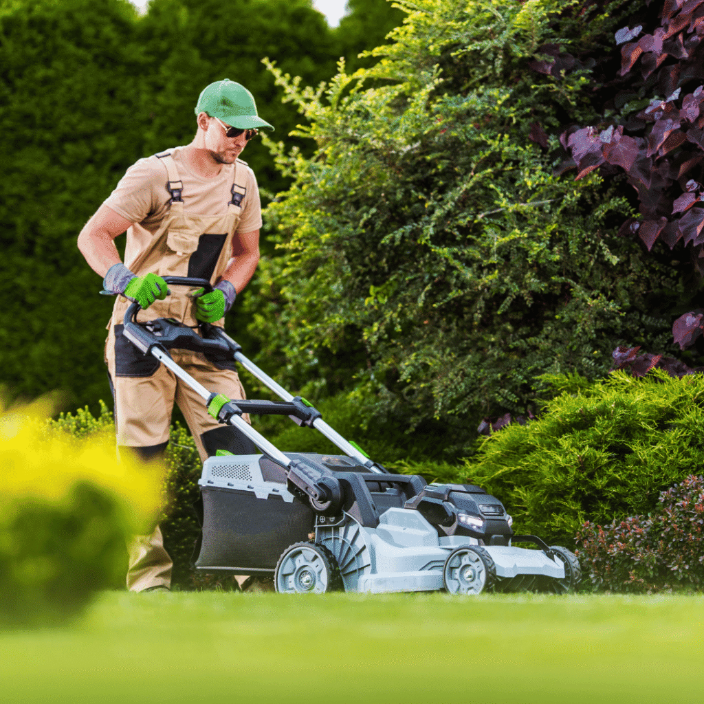 Commercial Landscape Maintenance Frisco TX for Professional Properties