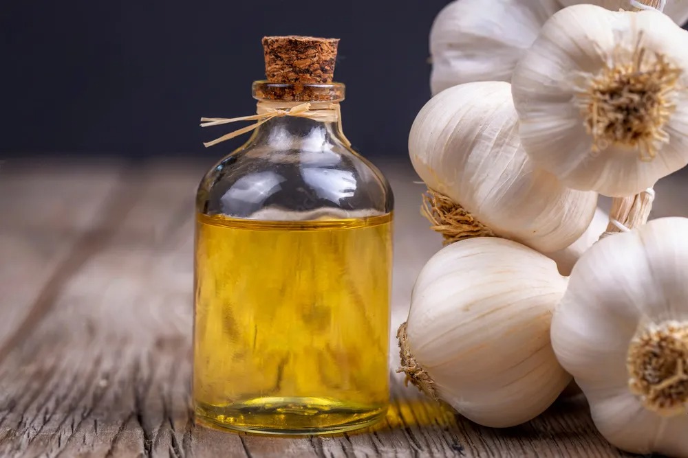 How to Choose Reliable Garlic Oil Suppliers for Bulk and Wholesale Needs