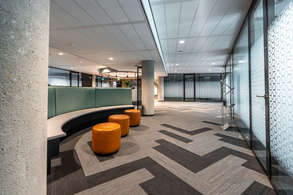 Construction Trades Services That Build Better Spaces