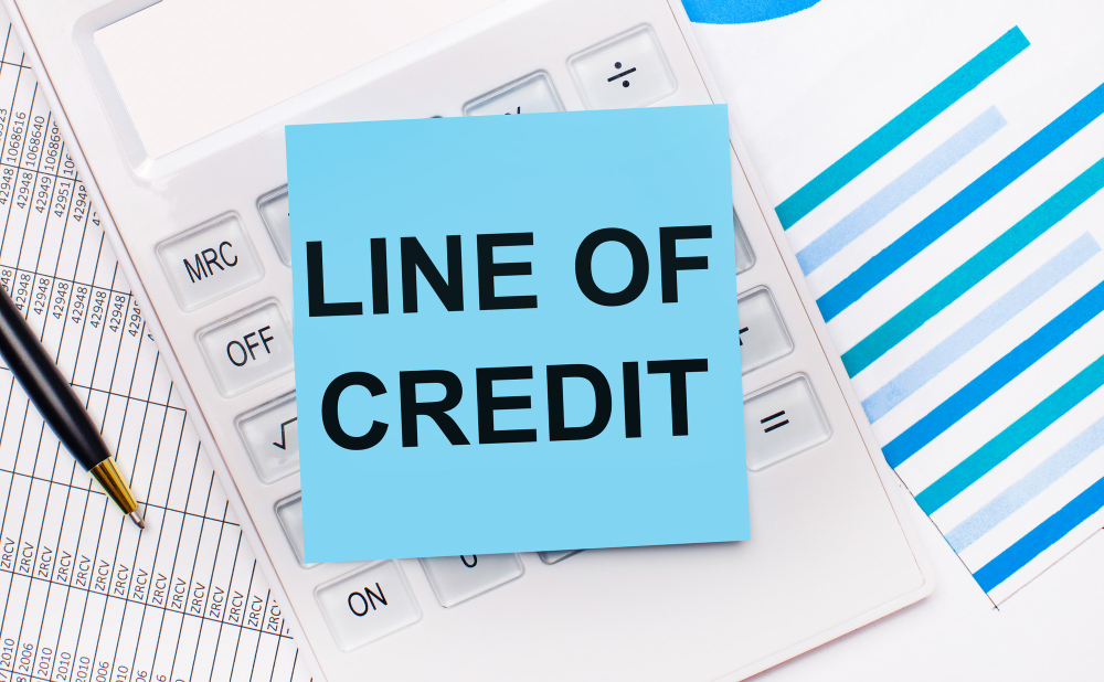 Why a Business Credit Line in the Philippines Is the Ultimate Safety Net for Local Startups