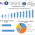 Dried Blueberries Industry Forecast 2032: Premium Consumer Shift Creates New Opportunities