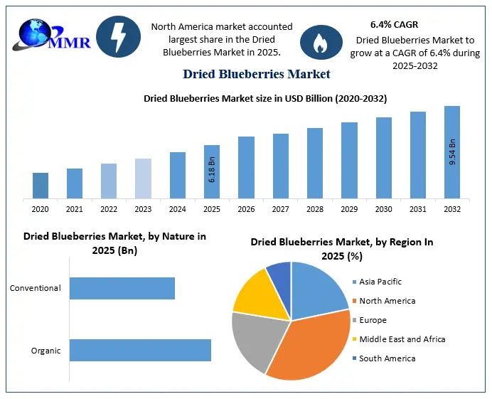 Dried Blueberries Industry Forecast 2032: Premium Consumer Shift Creates New Opportunities
