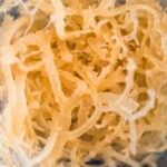 Everyday Nutrition Habits That Complement Sea Moss Consumption