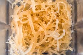 Everyday Nutrition Habits That Complement Sea Moss Consumption