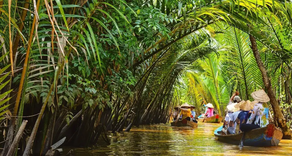 Vietnam Eco Tour Package: Experience Sustainable Travel Through Vietnam’s Natural and Cultural Wonders | Threeland
