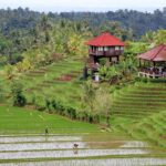 Ultimate Guide to Bali Holidays for UK Travelers: Packages, Visas, Prices & Attractions