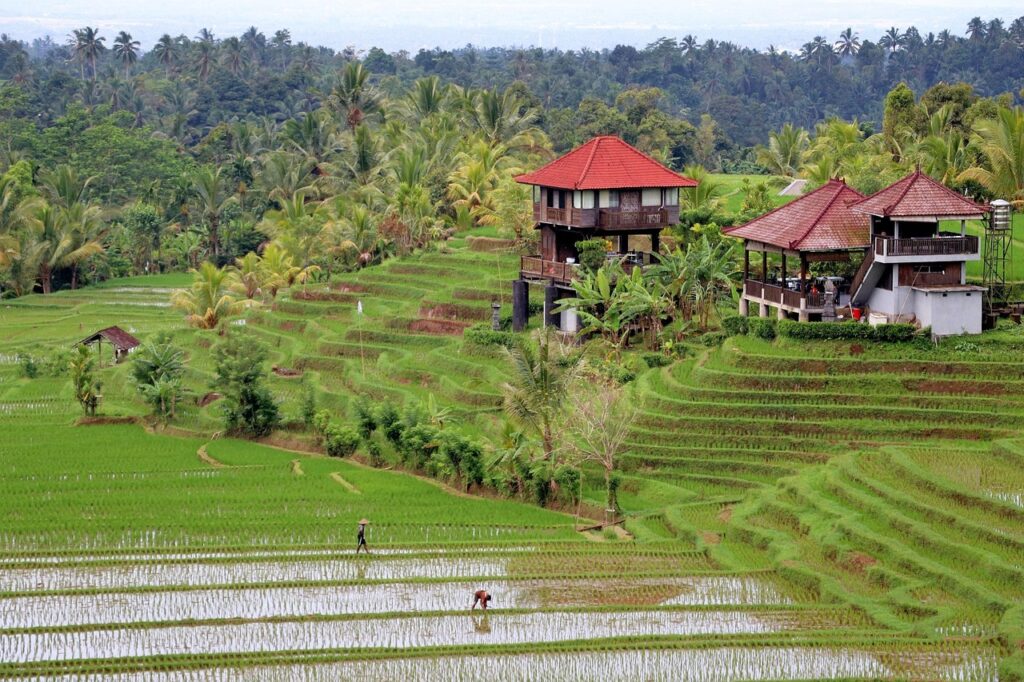 Ultimate Guide to Bali Holidays for UK Travelers: Packages, Visas, Prices & Attractions