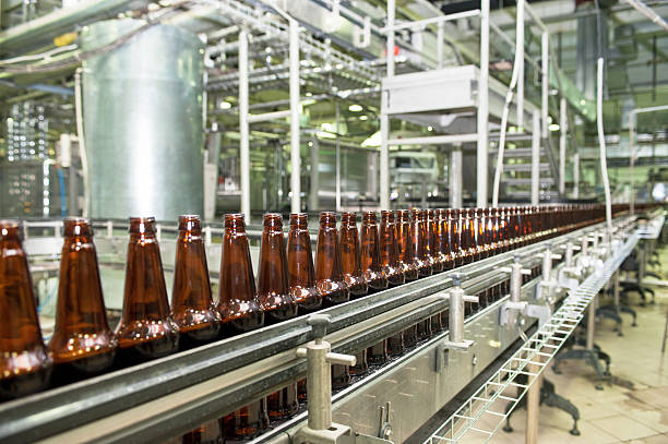 How to Start a Beer Manufacturing Plant in 2026: Complete Project Report, and Business Plan