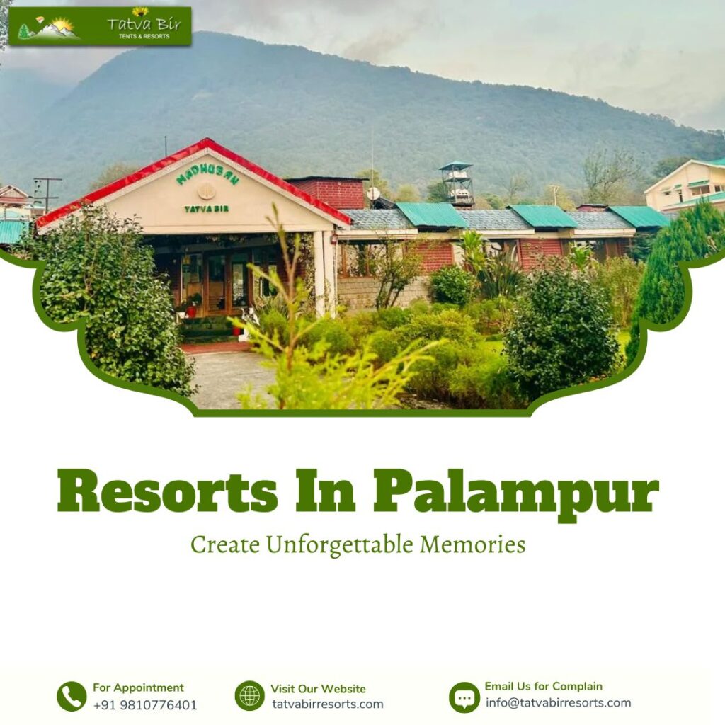 Luxury Resorts in Palampur for a Memorable Himalayan Getaway