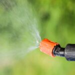 Vibrant Turf Management: Advanced Soil Nutrition and Pest Mitigation Strategies