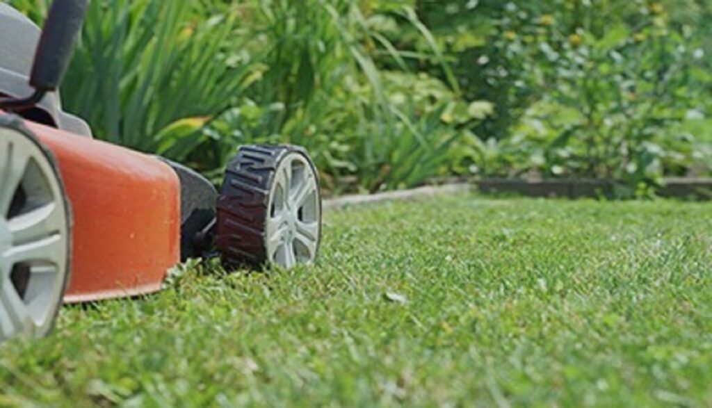 Garden Maintenance Rosebery – Professional Care for Beautiful Outdoor Spaces