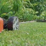 Garden Maintenance Rosebery – Professional Care for Beautiful Outdoor Spaces