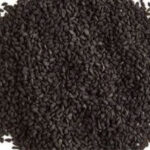 What Are Nigella Seeds and Why Are They Popular?