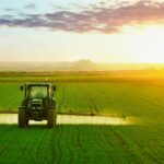 Market Insights 2026: Consumer Behavior, Innovation Trends, and Market Dynamics