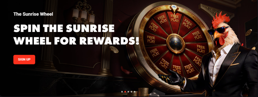Roosterbet Dealer Hosted Digital Activity Platforms