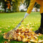 Seasonal Landscape Transitions: Protecting Turf Health and Preparing for Severe Winters