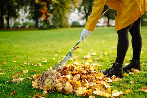 Seasonal Landscape Transitions: Protecting Turf Health and Preparing for Severe Winters