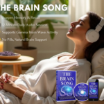 The Brain Song Review: Memory, Focus & Brainwave Audio