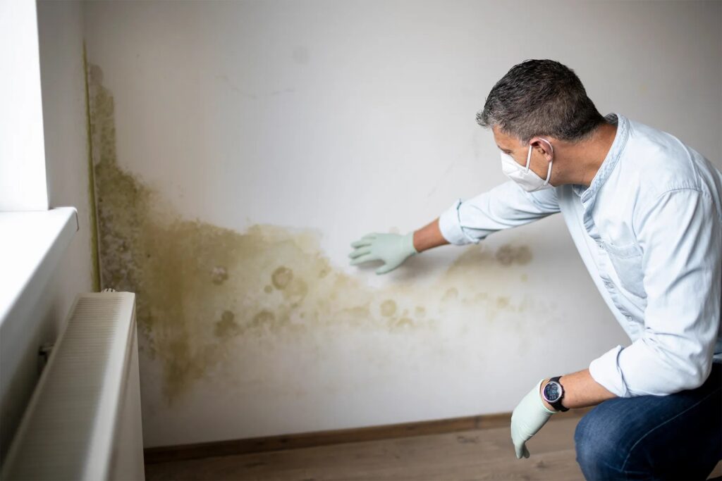 Why Mold Returns After Treatment In Simpsonville Homes And How To Stop The Cycle