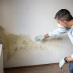 Why Mold Returns After Treatment In Simpsonville Homes And How To Stop The Cycle