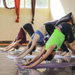 Transform Your Practice Through Yoga Teacher Training Indien