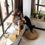 Discover the Best Pet Friendly Apartments in Nashville for You and Your Furry Friends