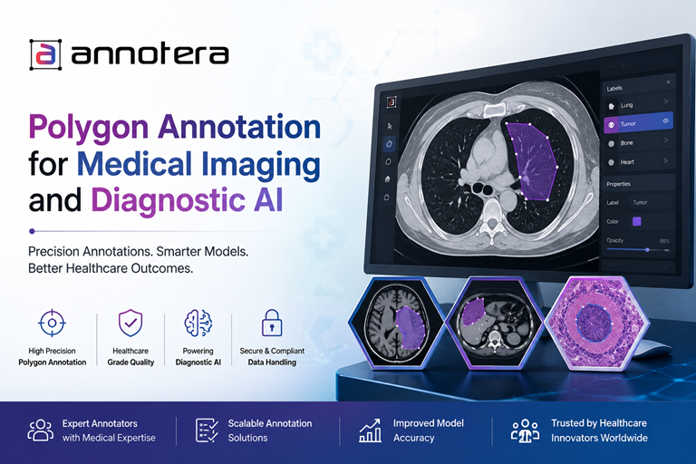 Polygon Annotation for Medical Imaging and Diagnostic AI