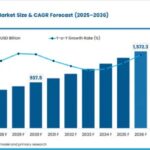 Personalized Medicine Market Analysis Reveals Emerging Potential