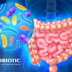 Probiotic Exporters in India: Delivering High-Quality Probiotic Solutions to Global Markets