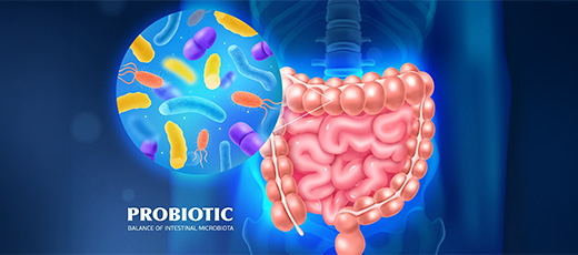 Probiotic Exporters in India: Delivering High-Quality Probiotic Solutions to Global Markets