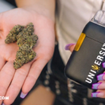 Marijuana Flower: Why It Still Matters in a Market Full of New Products