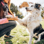 Essential Training Tips for a Welcoming Front Door Experience