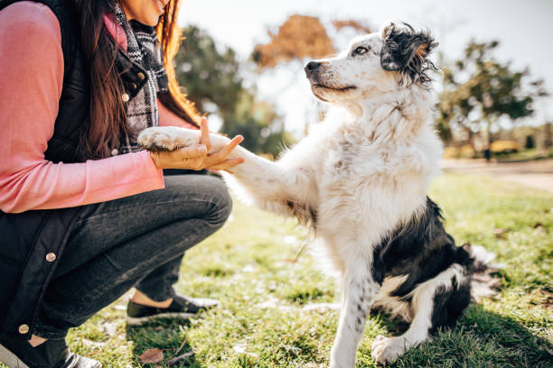 Essential Training Tips for a Welcoming Front Door Experience