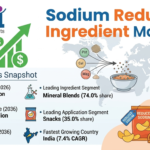 Sodium Reduction Ingredient Market to Reach USD 11.5 Billion by 2036