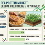 Pea Protein Market to Reach USD 4.08 Billion by 2036