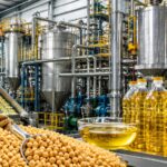 How to Start a Soybean Oil Processing Plant in 2026: Complete Business Guide