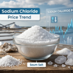 Sodium Chloride Price Trend: Market Insights, Prices, and Forecast Outlook
