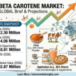 Beta Carotene Market to Reach USD 992.87 Million by 2036