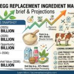Egg Replacement Ingredient Market to Reach USD 2.8 Billion by 2036