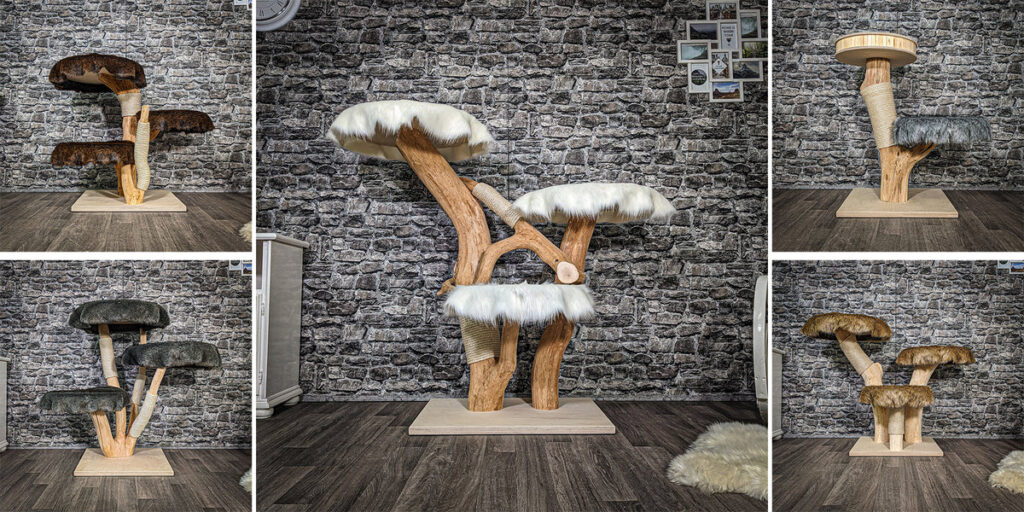 Natürlicher Kratzbaum Aus Hochwertigem Holz Für Langlebige Nutzung Heute