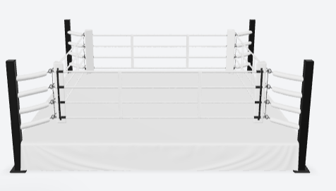 What to Know Before You Buy Customized Boxing Rings for Your Gym