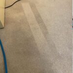 Carpet Cleaning Services Sheffield for Healthier Homes and Long-Lasting Freshness