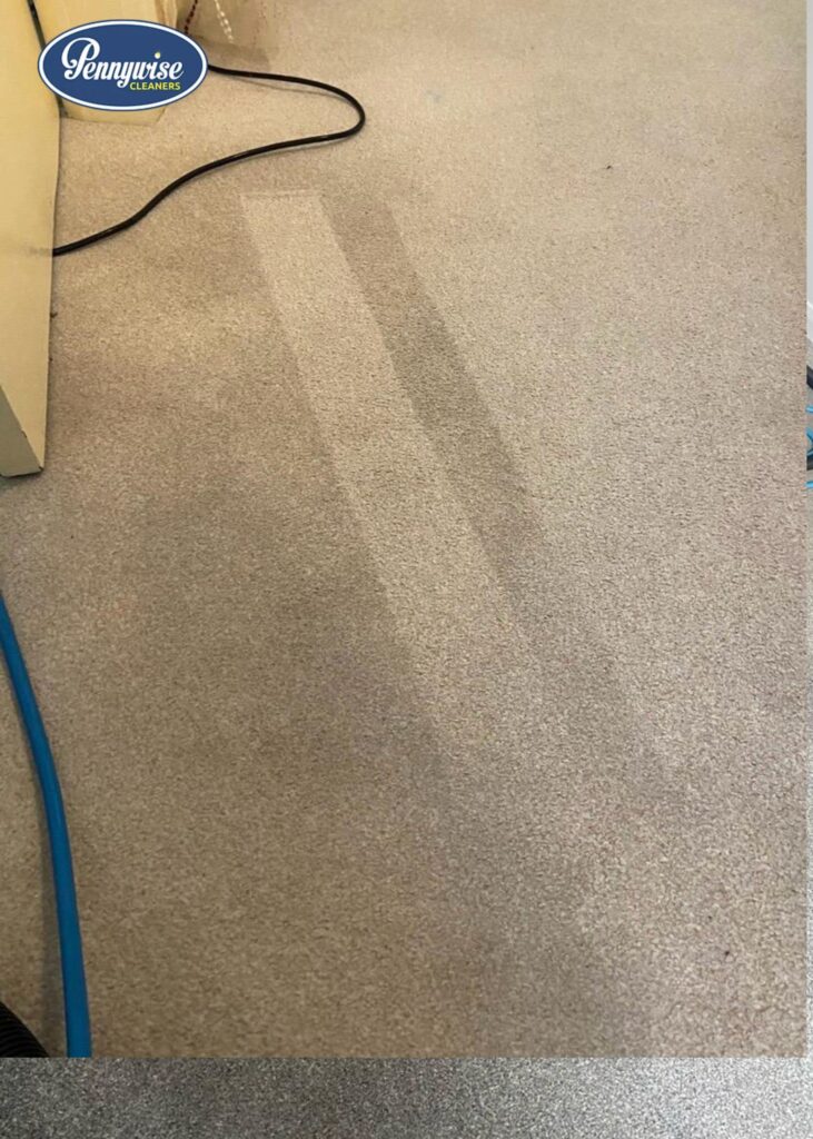 Carpet Cleaning Services Sheffield for Healthier Homes and Long-Lasting Freshness