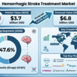 Global Hemorrhagic Stroke Treatment Market Forecast 2025–2035: Market Expansion Driven by Clinical Innovation
