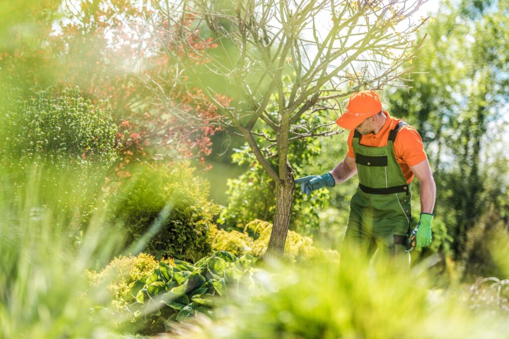 Plants Health Care Service: Complete Guide to Keeping Your Plants Healthy and Thriving