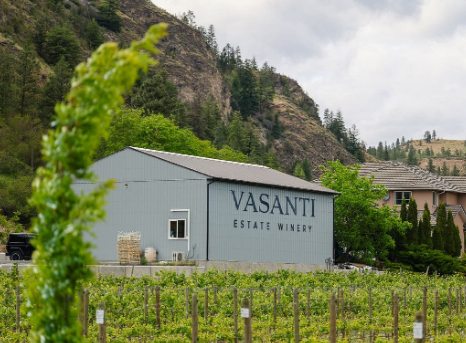 Wine Tasting Okanagan: A Complete Guide to Experiencing British Columbia’s Wine Country