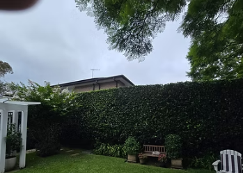 Strata Gardening in Ryde: Simple Fixes for Overgrown Spaces