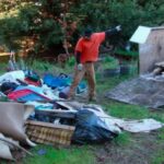 Debris Removal Near You: Fast and Reliable Cleanup Services