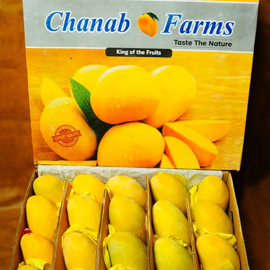 Buy Export Quality Chaunsa Mango King of Premium Pakistani Mangoes