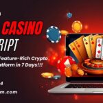 Generate Consistent Returns via Our Smart White Label Crypto Casino Software